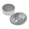 Master Magnetics Magnet Source .118 in. L X .315 in. W Silver Super Disc Magnets 2.9 lb. pull 10 pc 07045 - alternate 2